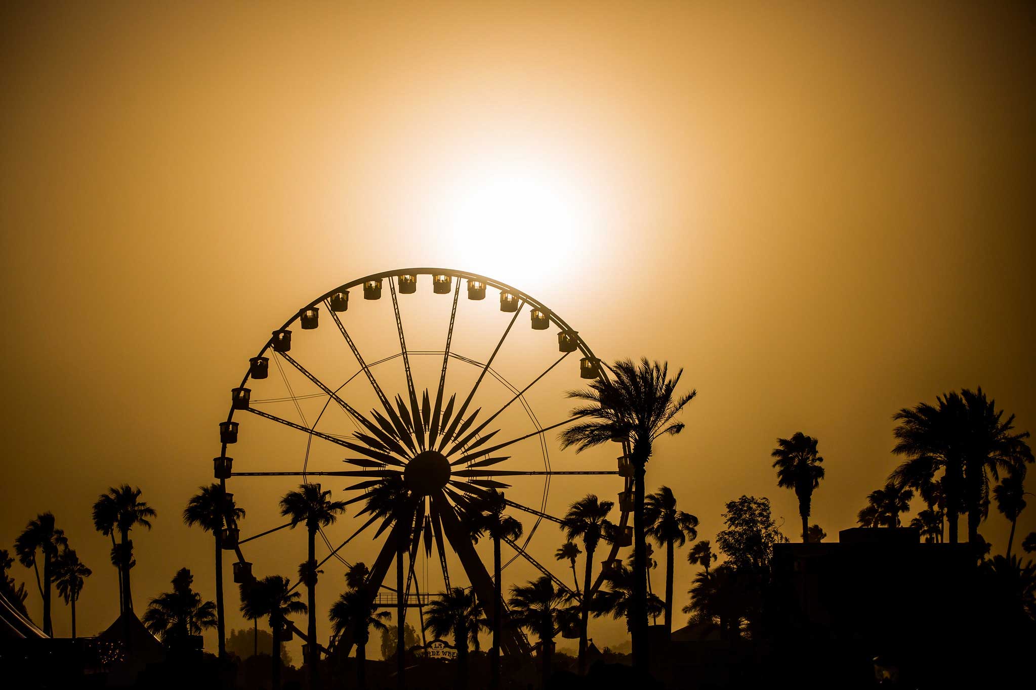 Coachella ferris wheel at golden hour