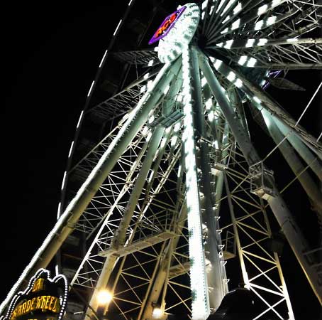 Jon Burgerman illustrated Coachella map poster — everything that happens, all at once