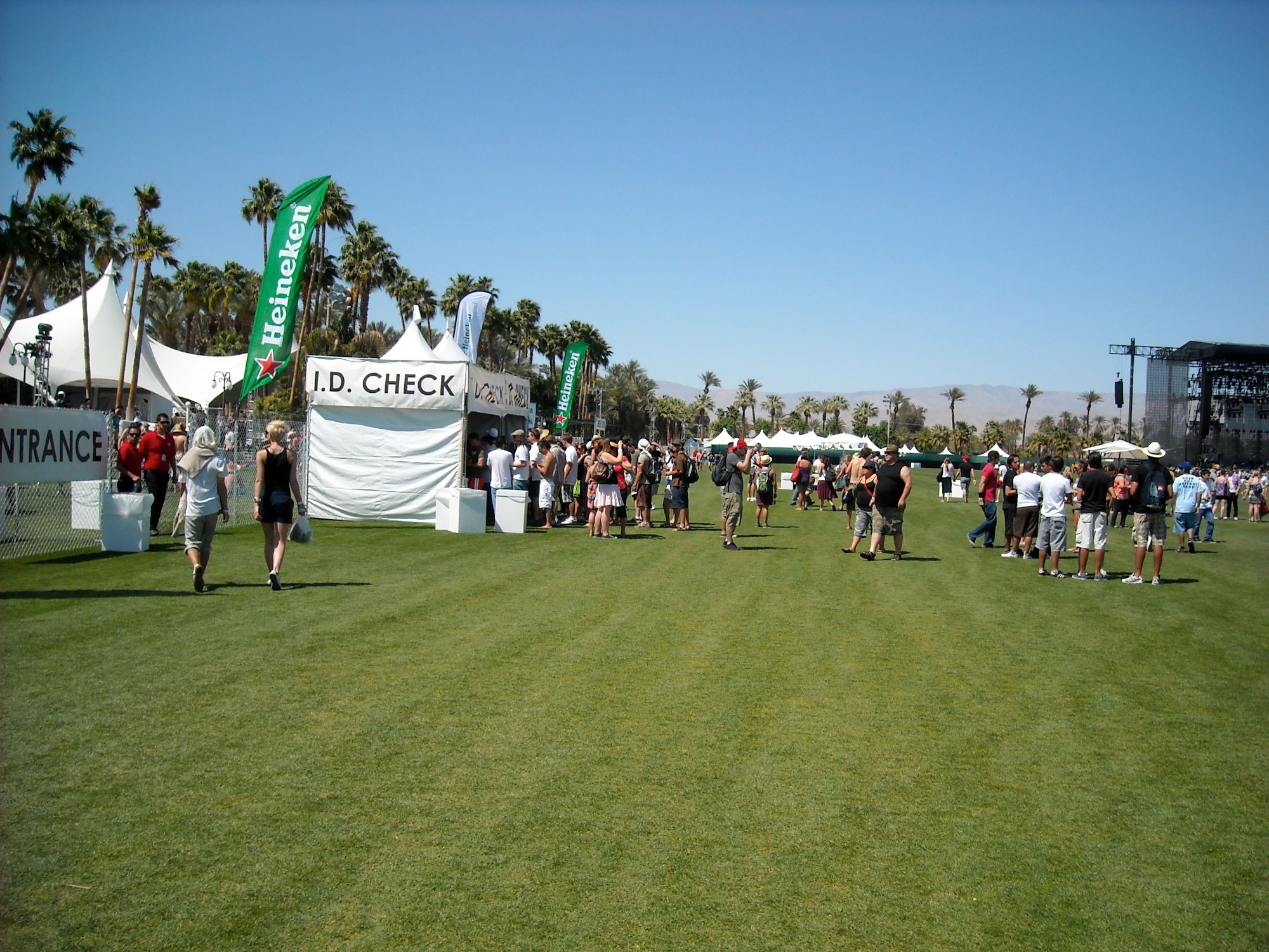 The Empire Polo Club grounds — palm trees, desert mountains, festival tents