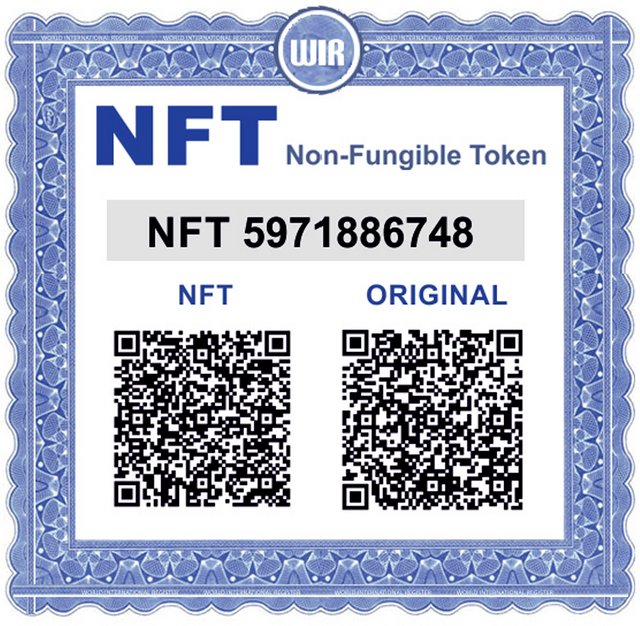 NFT Non-Fungible Token certificate